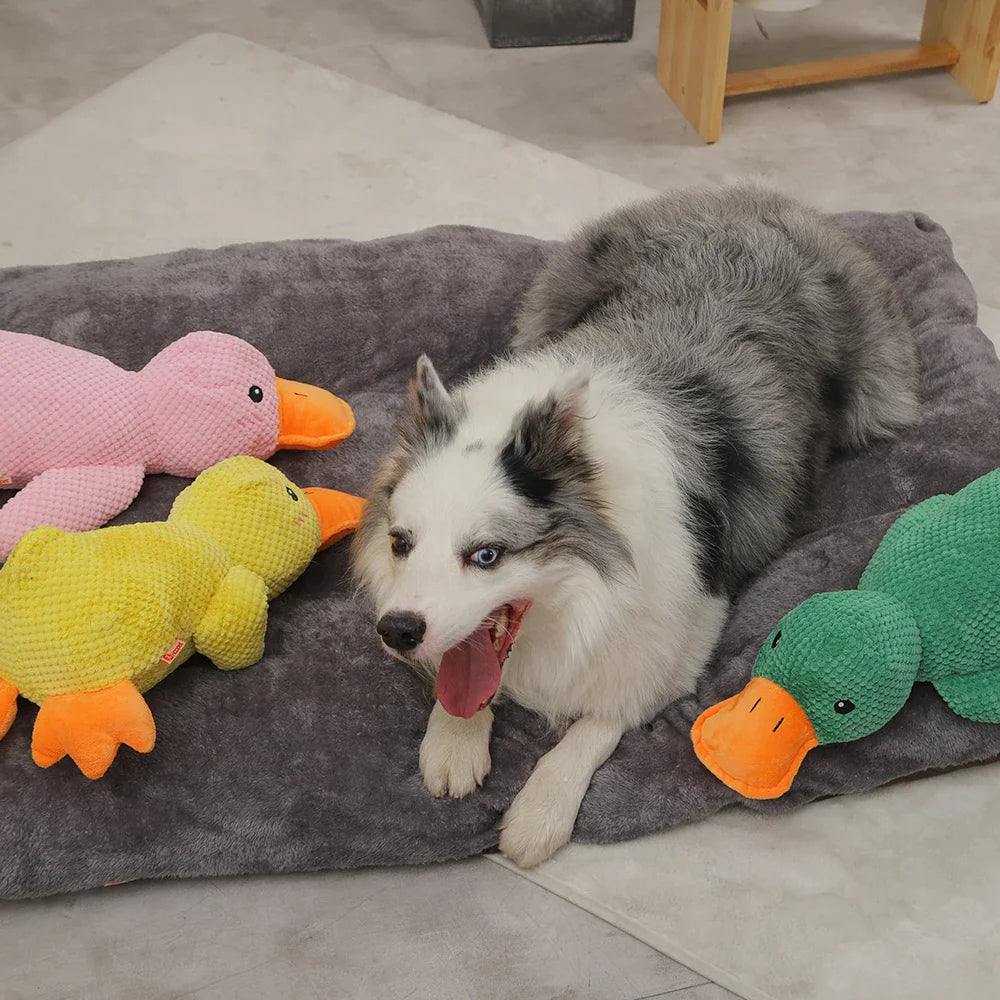 Wuff Duck - Ontspannend spel voor honden