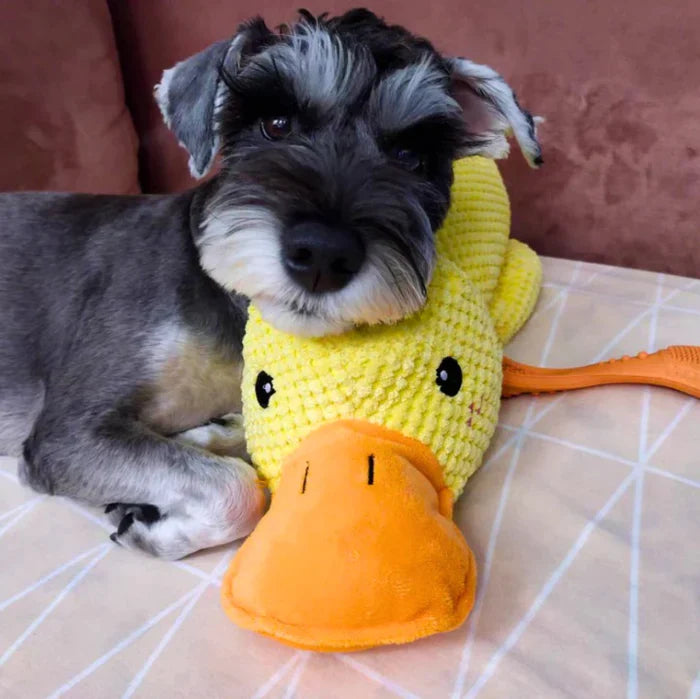 Wuff Duck - Ontspannend spel voor honden